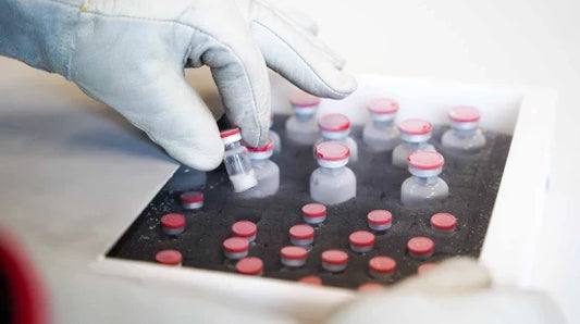 Case Study: Reducing product loss | Hybrid for primary packaging