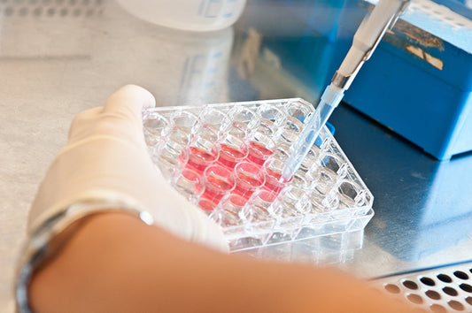 Cell cryopreservation preparation process