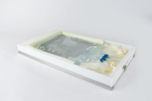 Image of a RoSS shell protecting a Aramus™ single use bag.