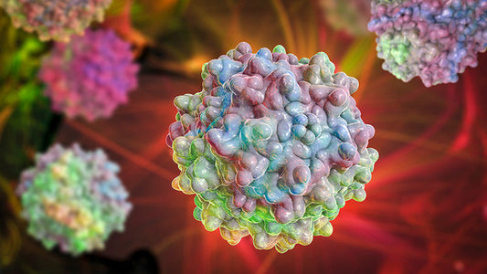 Adeno-Associated Virus (AAV) for gene therapy