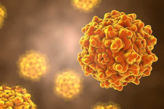 AAV packaging services: Market overview