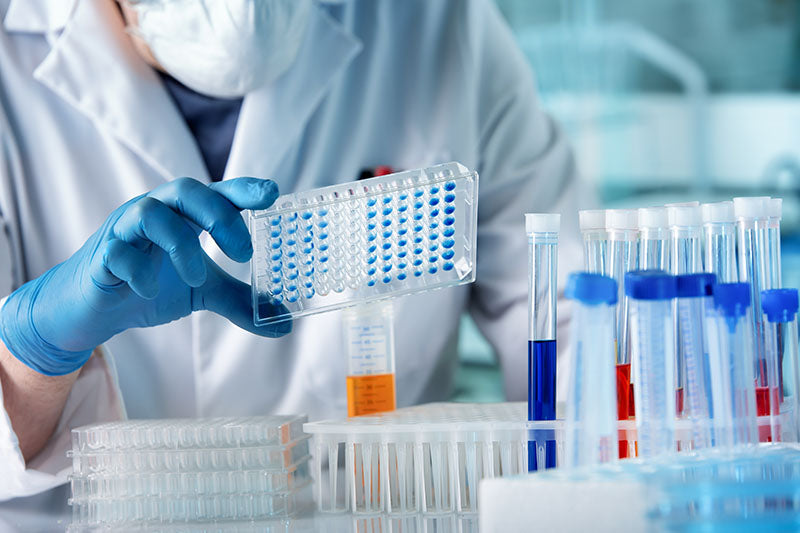 Biologic Drug Development: A Comprehensive Introduction
