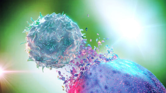 CAR NK therapy - natural killer cell therapy - what is that?