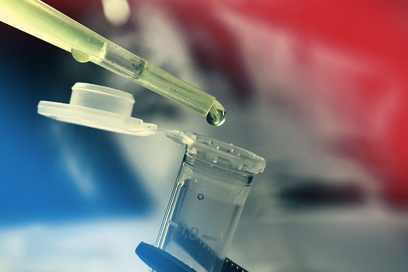 Types of cell banks: An overview