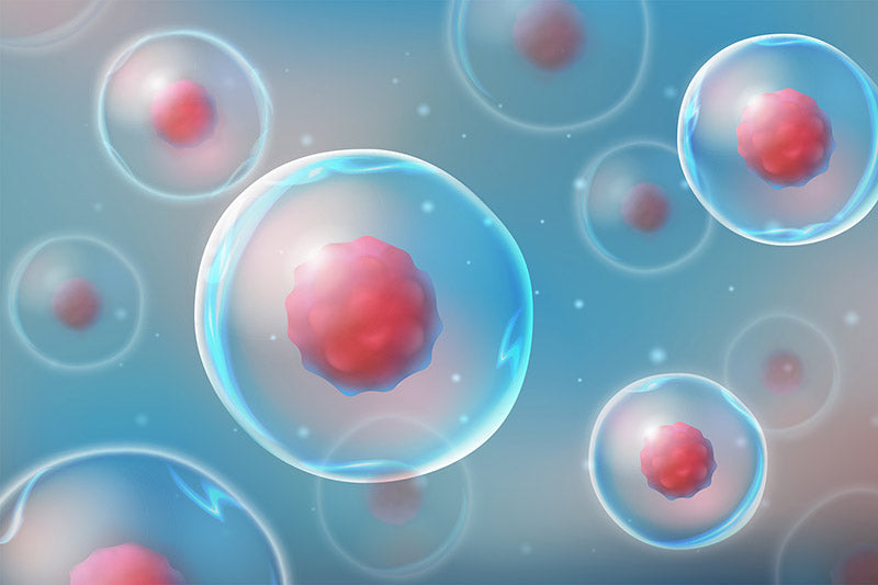 Cryogenic Freezing: All you need to know