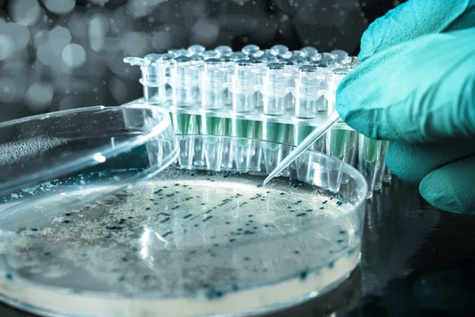7 Must-Known Facts About Antibody-Drug Conjugates (ADCs)