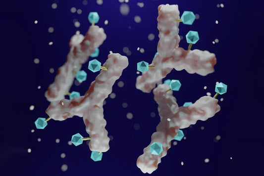 FDA approved Antibody Drug Conjugates (ADCs)