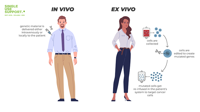 Cell and gene therapy: In vivo and Ex vivo in comparison