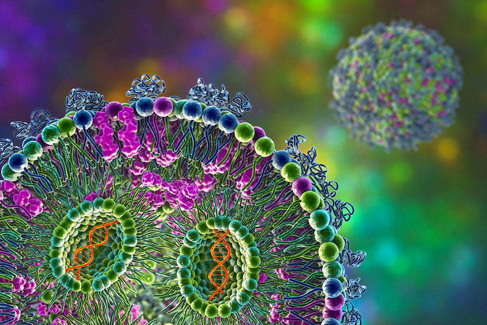 Lipid nanoparticles: All you need to know about LNPs