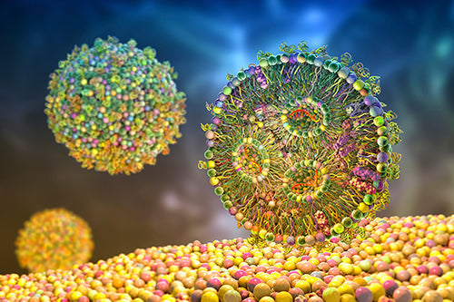 Where are lipid nanoparticles (LNPs) used?
