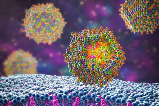 Non-viral vectors in gene therapy: LNPs in the spotlight