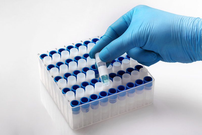 How to maintain a cell bank?