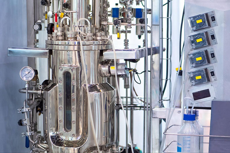 Microbial cGMP production: complete guide & manufacturer's overview