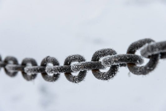 Cold chain handling for fermentation: Single-use solutions to lower costs