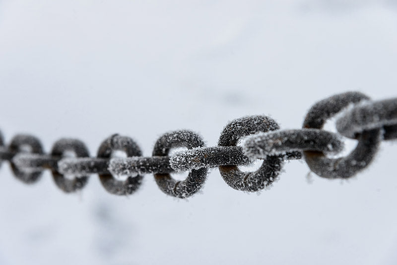 Cold chain handling for fermentation: Single-use solutions to lower costs