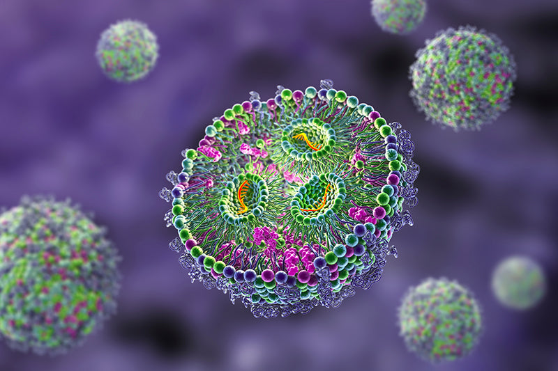 Lipid nanoparticle (LNP) manufacturing: Challenges & Solutions
