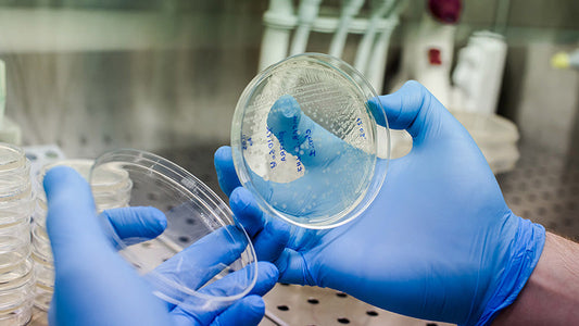 Safe storage & handling of viral vectors