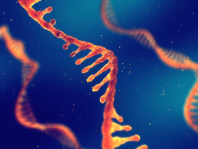 mRNA delivery with lipid nanoparticles