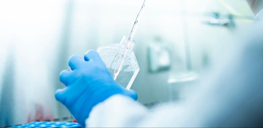 Steps in Monoclonal Antibody Production