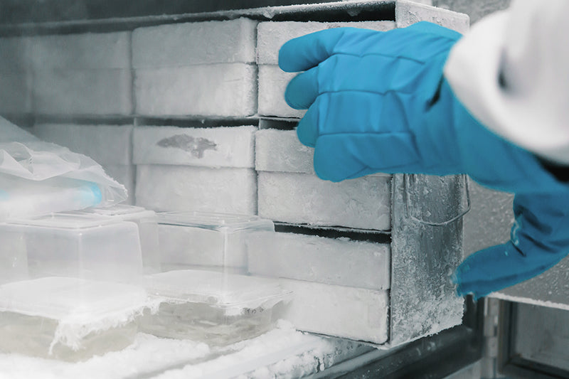 Freezing LNPs & the impact on their long-term stability