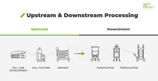 What is upstream and downstream processing?