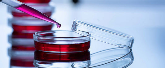 Viral vector manufacturing: Production methods & future advances