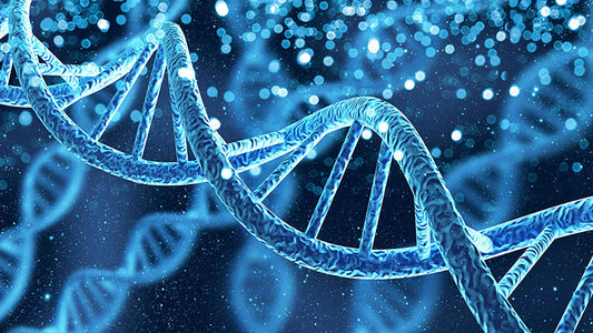 Viral vector vaccines vs. mRNA vaccines: The differences