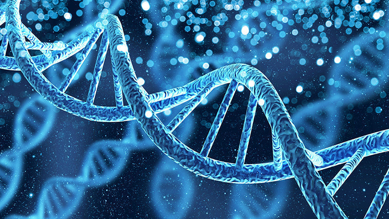 Viral vector vaccines vs. mRNA vaccines: The differences