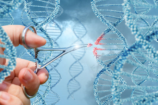 Viral vectors for gene therapy: What to expect in 2023