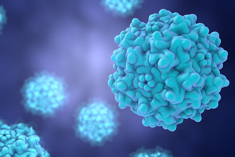 Viral vectors in gene therapy – the function, benefits and risks