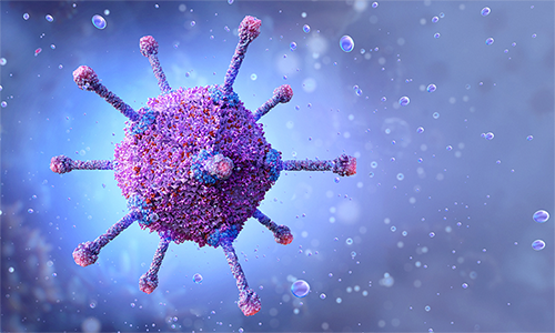 What is the difference between adeno-associated virus and adenovirus?