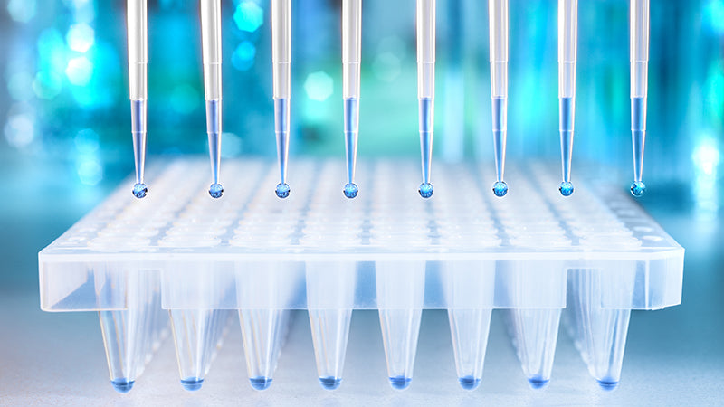 Test tubes in a well plate with a blurred blue background.