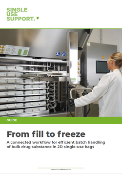 Preview image of the guide Fill to Freeze