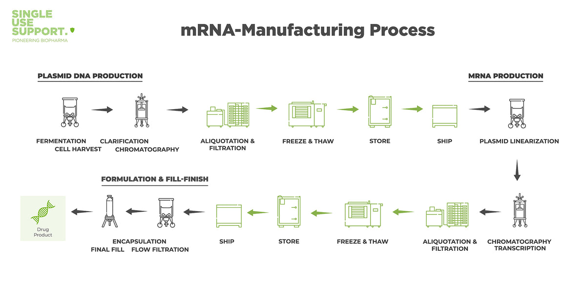 Diagram of the mRNA manufacturing process from plasmid dna production, mrna production to formulation and fill-finish.
