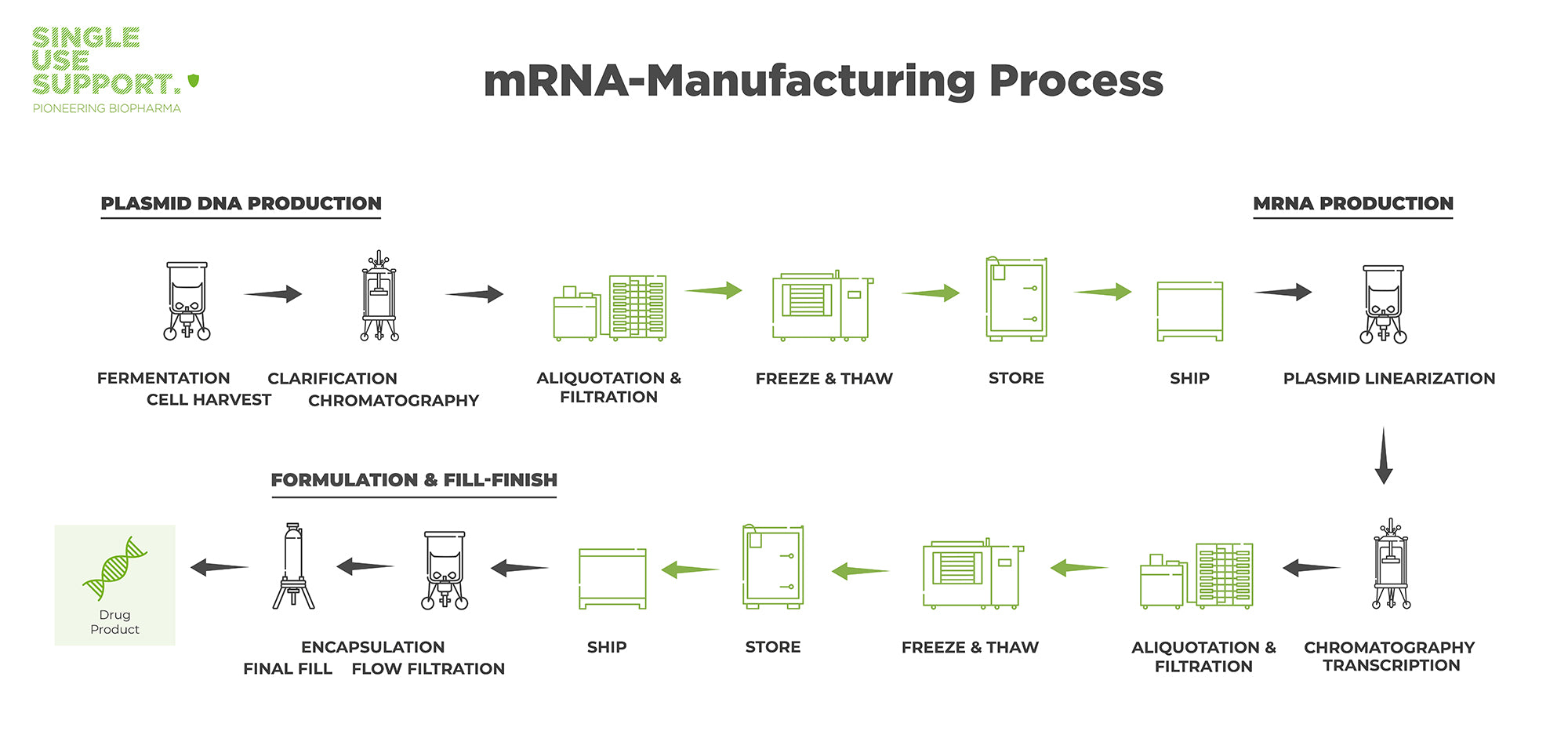 Diagram of the mRNA manufacturing process from plasmid dna production, mrna production to formulation and fill-finish.