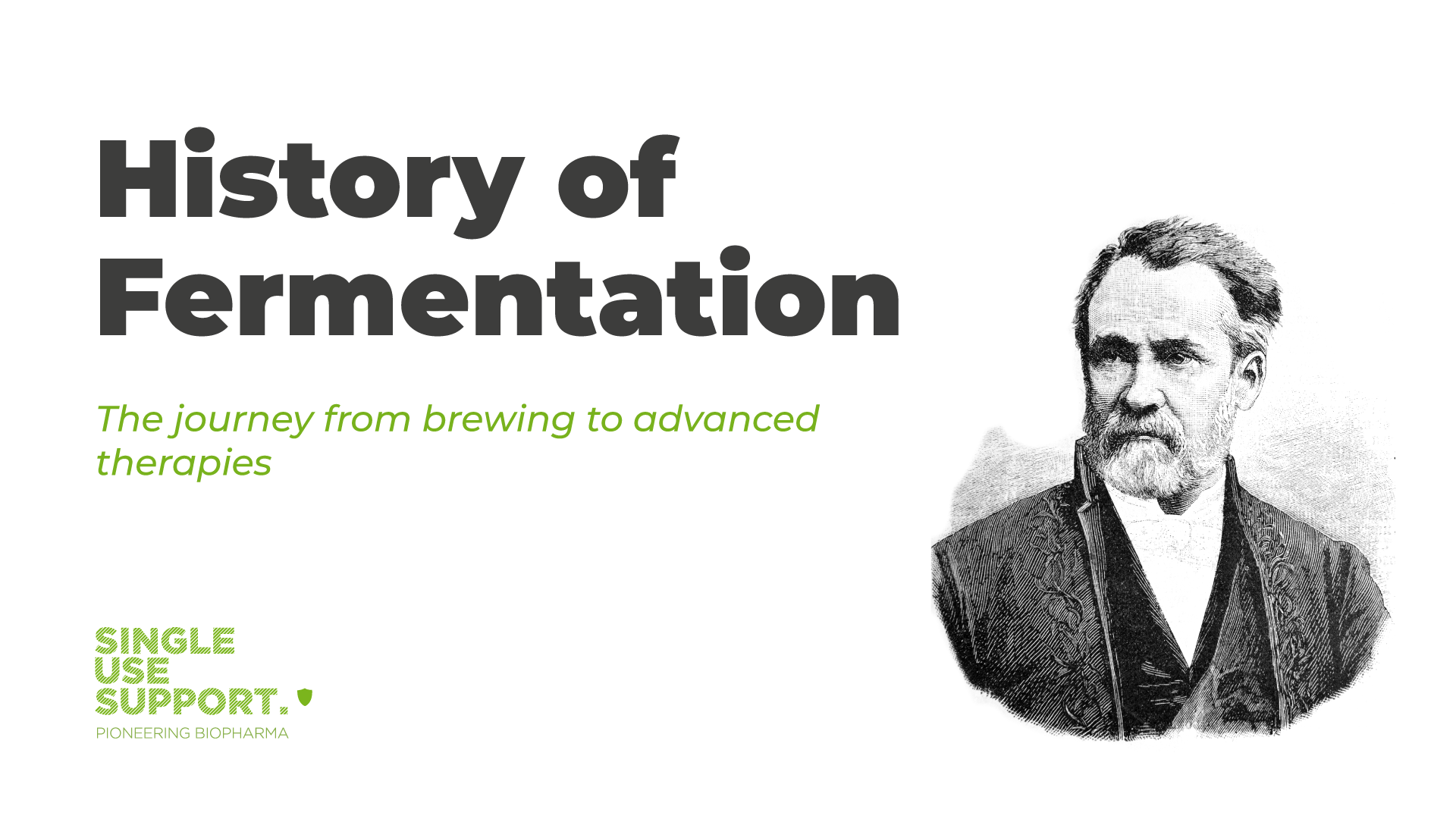 History of Fermentation