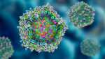 Where are lipid nanoparticles (LNPs) used?