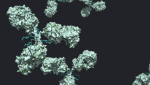 ADC technology simply explained