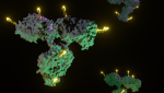 FDA approved antibody-drug conjugates for cancer therapy