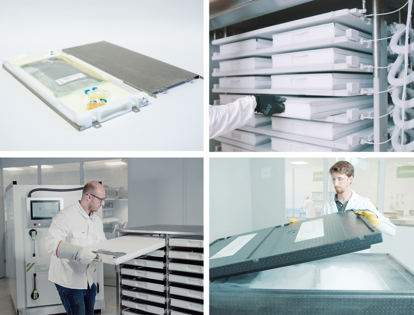Campaign Page_Cold Chain Handling_Header Image