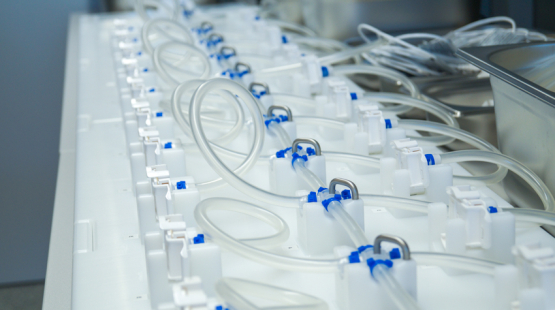 Single-use assemblies manifold
