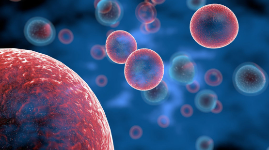 Cell and gene therapy