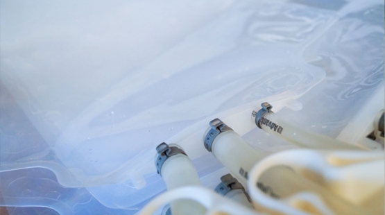 Sterile bag filling - Single-use handling in biopharma on another level