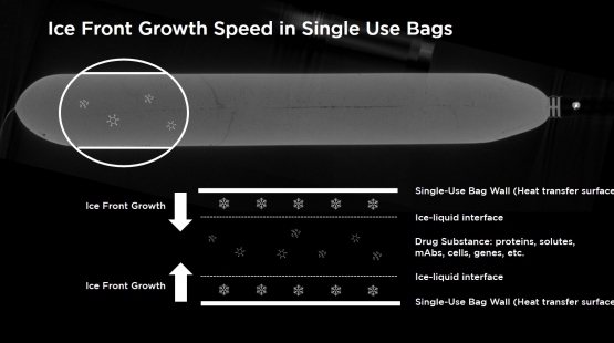 Ice front growth speed in single-use bags