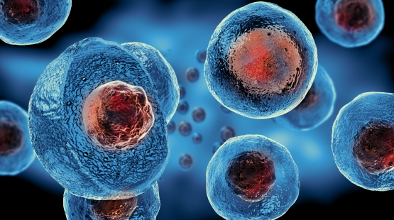 Cell viability: 7 facts to be aware of