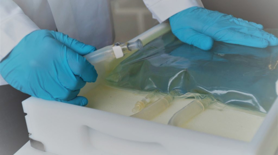 Case study: How to ensure sterility in end-to-end bulk management