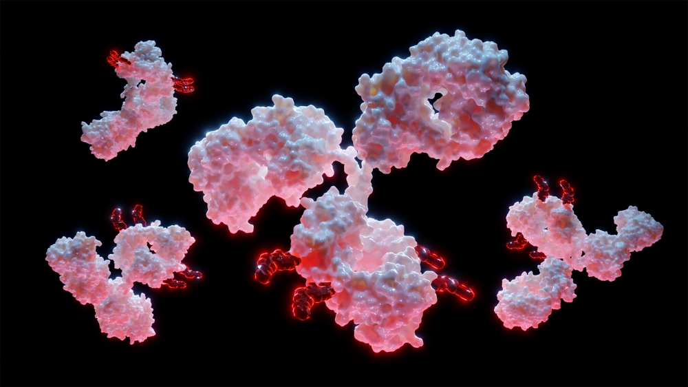 antibody-drug conjugates illustration