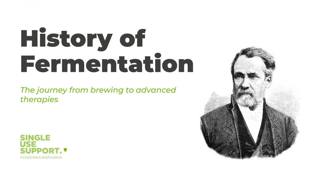 history-fermentation