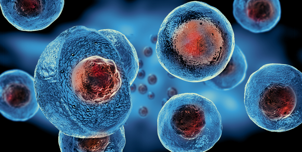 Cell viability: 7 facts to be aware of