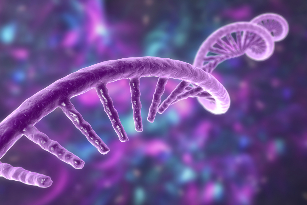 Definition & function of mRNA